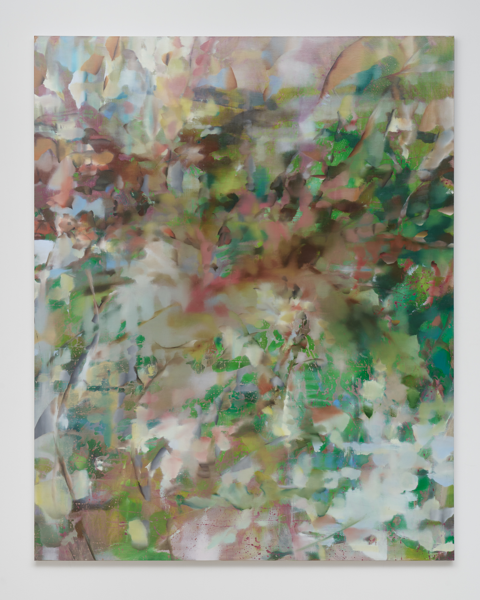 platanus.jpg
